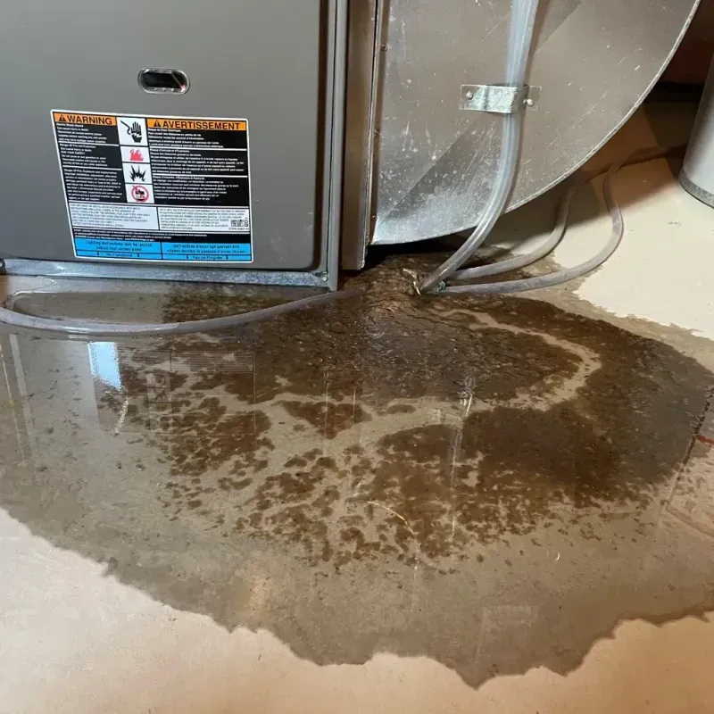 Appliance Leak Cleanup in Hillsboro, OR